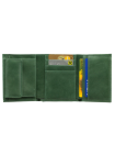 Кошелек портмоне женское натуральная кожа С-Джари друид зеленый Флауэрс